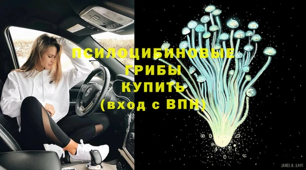 эйфоретик Белокуриха